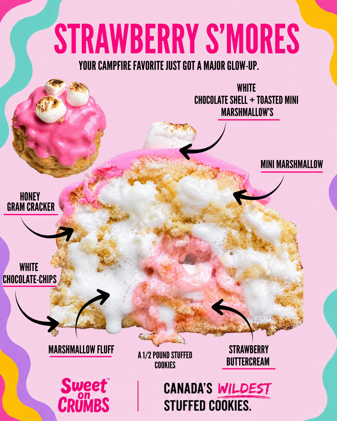 Strawberry S’mores