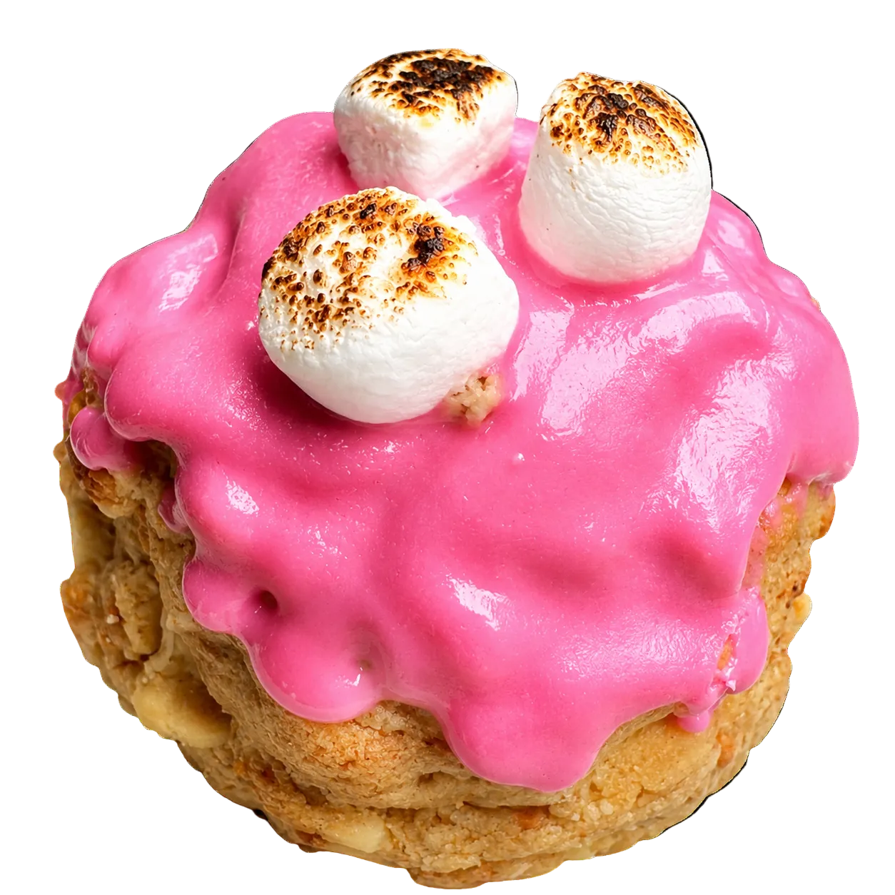 Strawberry S’mores